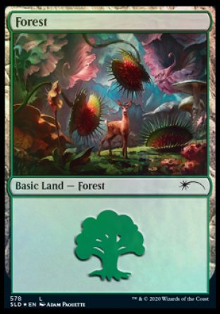 Forest (Predatory) (578) [Secret Lair Drop Promos] | The Time Vault CA