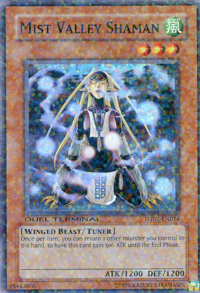 Mist Valley Shaman [DT01-EN014] Super Rare | The Time Vault CA