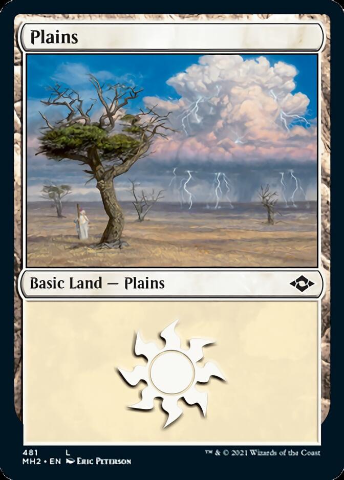 Plains (481) (Foil Etched) [Modern Horizons 2] | The Time Vault CA