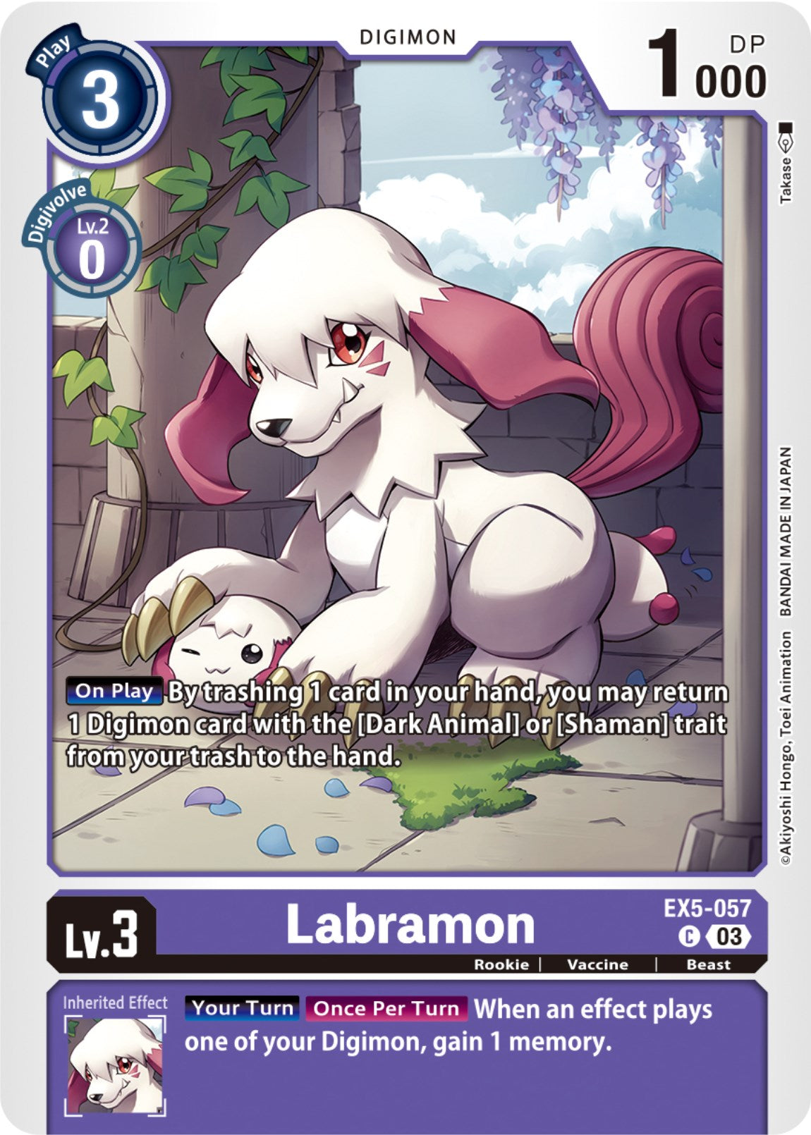 Labramon [EX5-057] [Animal Colosseum] | The Time Vault CA