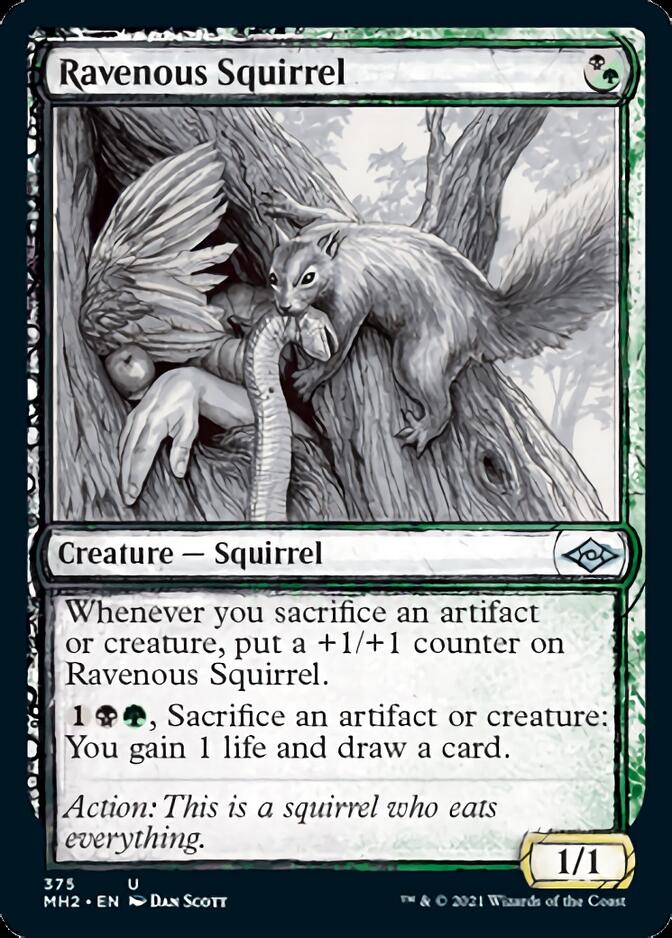 Ravenous Squirrel (Sketch) [Modern Horizons 2] | The Time Vault CA