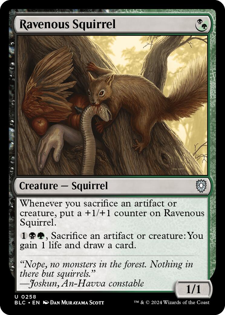 Ravenous Squirrel [Bloomburrow Commander] | The Time Vault CA