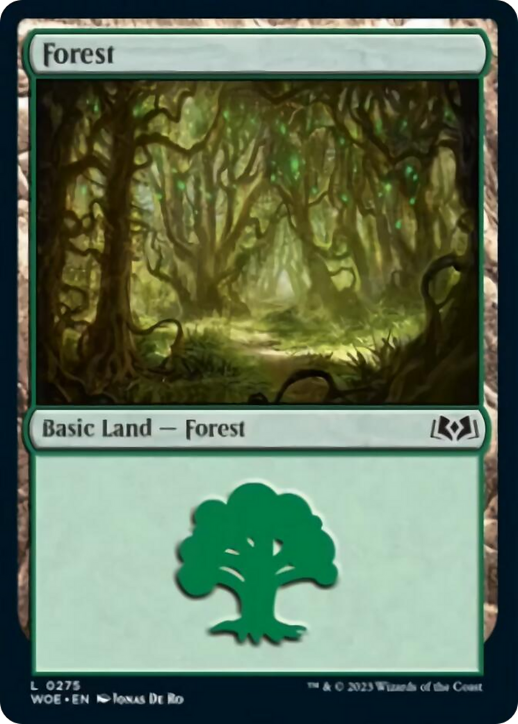 Forest (0275) [Wilds of Eldraine] | The Time Vault CA