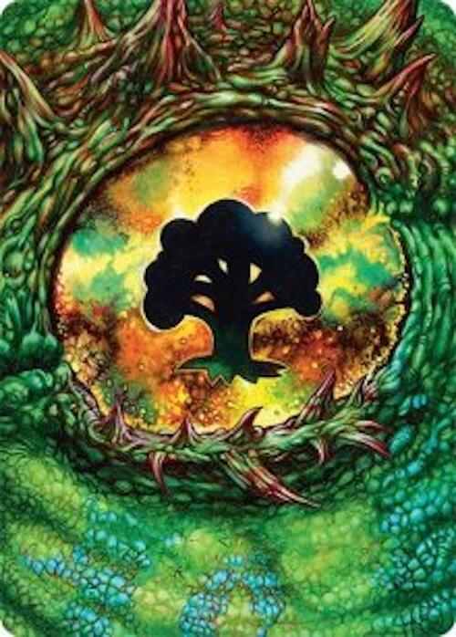 Forest Art Card (32/54) [Tarkir: Dragonstorm Art Series] | The Time Vault CA