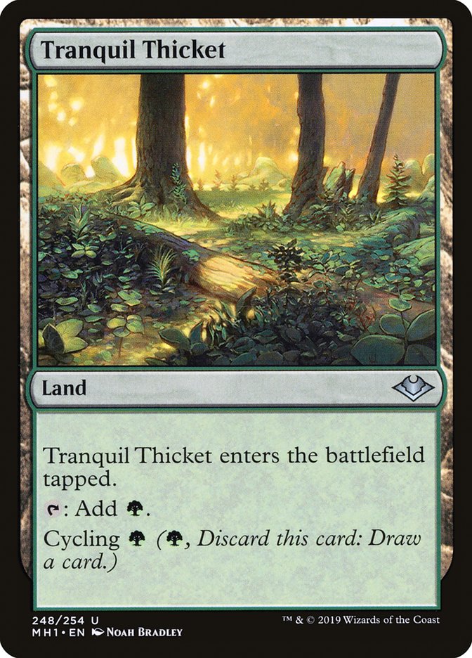 Tranquil Thicket [Modern Horizons] | The Time Vault CA