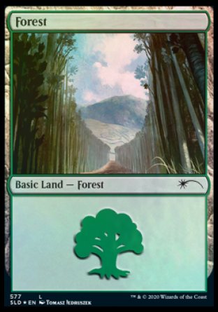 Forest (Walls) (577) [Secret Lair Drop Promos] | The Time Vault CA