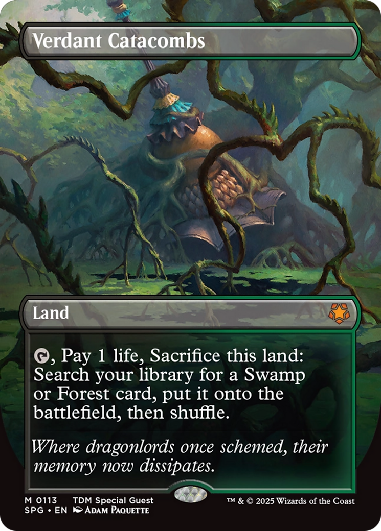 Verdant Catacombs (Borderless) [Tarkir: Dragonstorm Special Guests] | The Time Vault CA