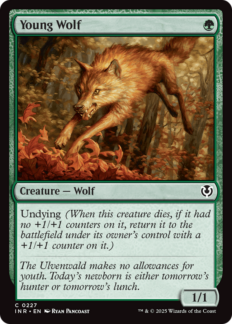 Young Wolf [Innistrad Remastered] | The Time Vault CA