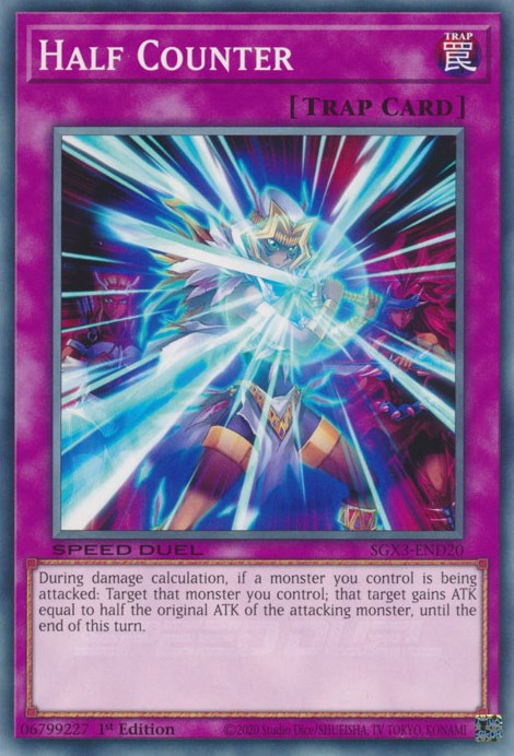 Half Counter [SGX3-END20] Common | The Time Vault CA