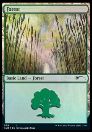 Forest (Elves) (579) [Secret Lair Drop Promos] | The Time Vault CA