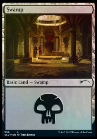 Swamp (Rogues) (559) [Secret Lair Drop Promos] | The Time Vault CA