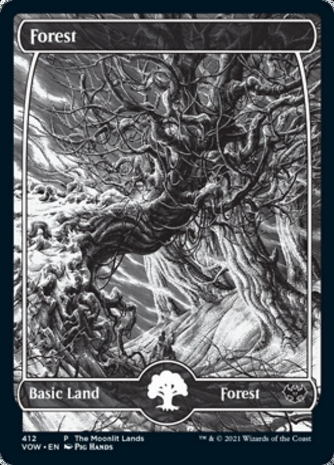 Forest (The Moonlit Lands) (Foil Etched) [Innistrad: Crimson Vow Promos] | The Time Vault CA