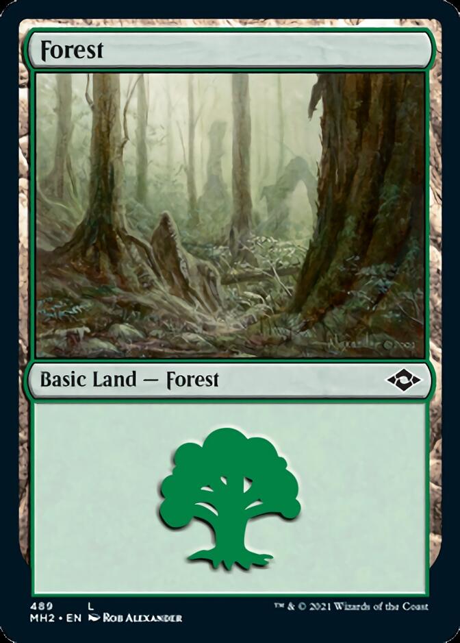 Forest (489) (Foil Etched) [Modern Horizons 2] | The Time Vault CA