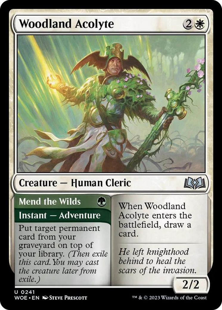 Woodland Acolyte // Mend the Wilds [Wilds of Eldraine] | The Time Vault CA