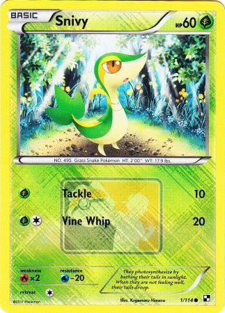 Snivy (1/114) (League Promo) [Black & White: Base Set] | The Time Vault CA