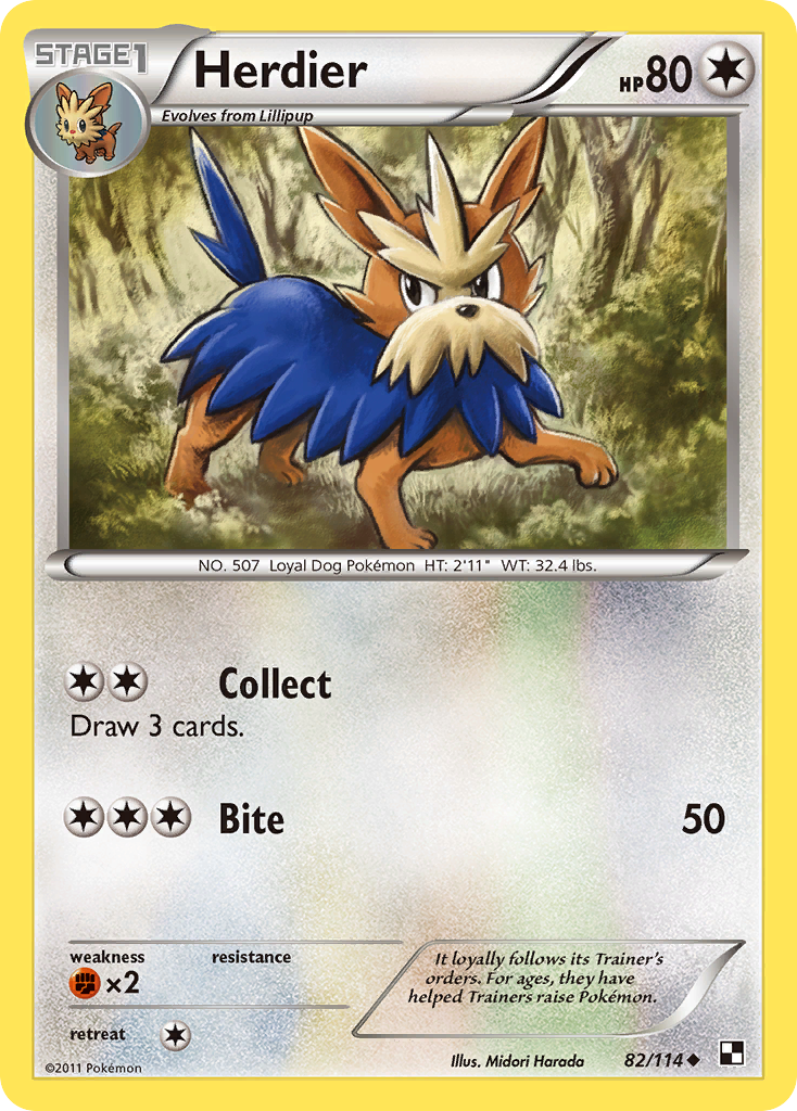 Herdier (82/114) [Black & White: Base Set] | The Time Vault CA