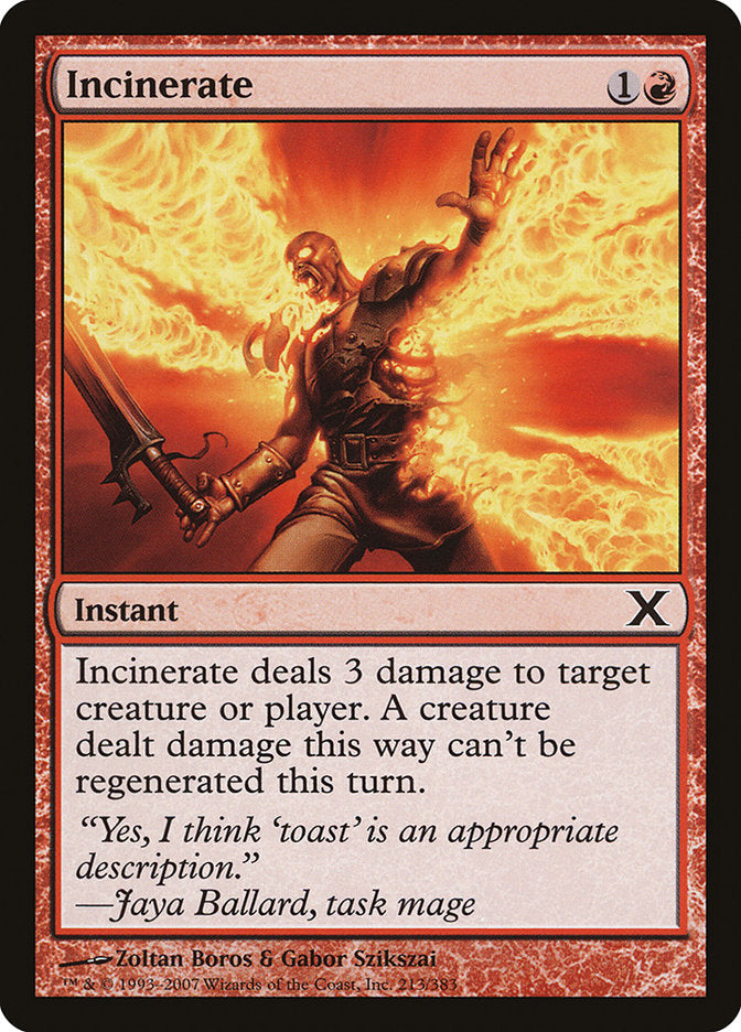 Incinerate [Tenth Edition] | The Time Vault CA