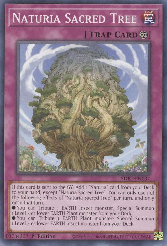 Naturia Sacred Tree [SDBT-EN037] Common | The Time Vault CA