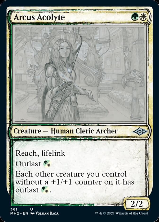 Arcus Acolyte (Sketch) [Modern Horizons 2] | The Time Vault CA