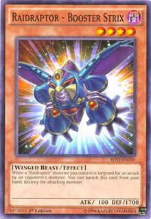 Raidraptor - Booster Strix [SHVI-EN016] Common | The Time Vault CA