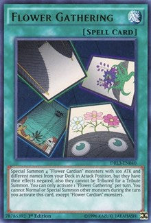 Flower Gathering [DRL3-EN040] Ultra Rare | The Time Vault CA