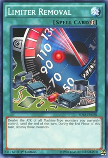 Limiter Removal [SDKS-EN028] Common | The Time Vault CA