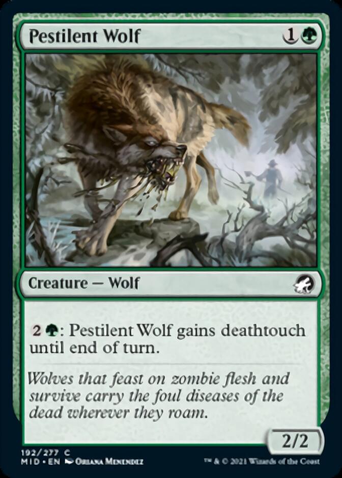 Pestilent Wolf [Innistrad: Midnight Hunt] | The Time Vault CA