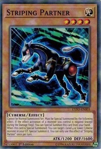 Striping Partner [EXFO-EN003] Common | The Time Vault CA