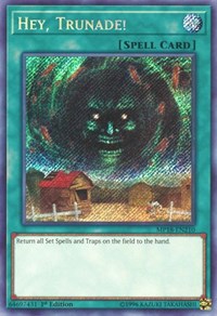 Hey, Trunade! [MP18-EN210] Secret Rare | The Time Vault CA