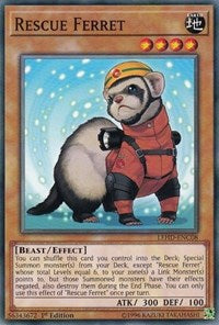Rescue Ferret [LEHD-ENC08] Common | The Time Vault CA