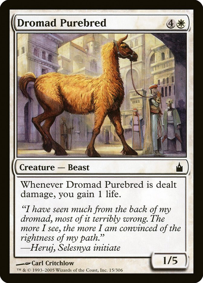 Dromad Purebred [Ravnica: City of Guilds] | The Time Vault CA