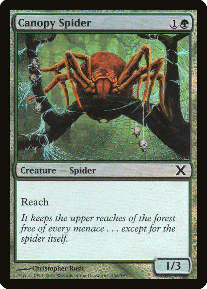 Canopy Spider (Premium Foil) [Tenth Edition] | The Time Vault CA