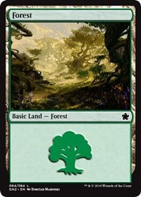 Forest (64) [Magic Game Night 2019] | The Time Vault CA