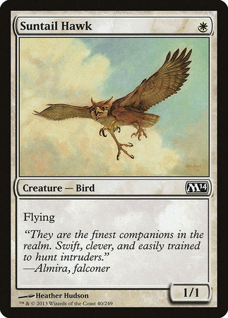 Suntail Hawk [Magic 2014] | The Time Vault CA
