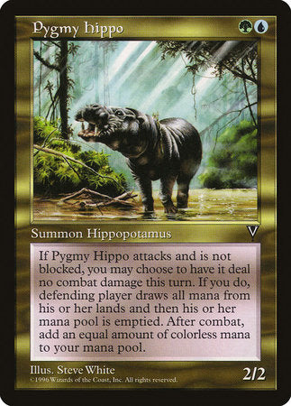 Pygmy Hippo [Visions] | The Time Vault CA