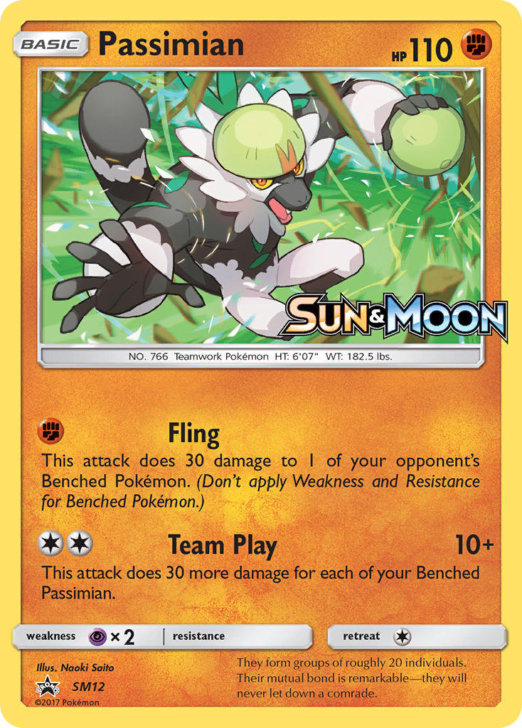 Passimian (SM12) [Sun & Moon: Black Star Promos] | The Time Vault CA