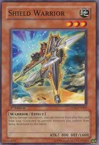 Shield Warrior [DP08-EN007] Common | The Time Vault CA