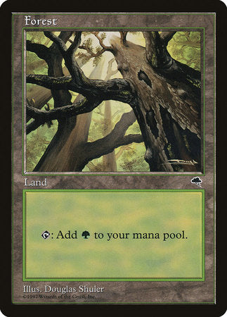 Forest (Skyward) [Tempest] | The Time Vault CA