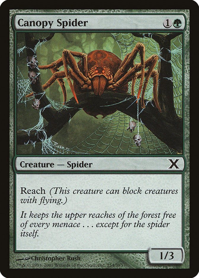 Canopy Spider [Tenth Edition] | The Time Vault CA