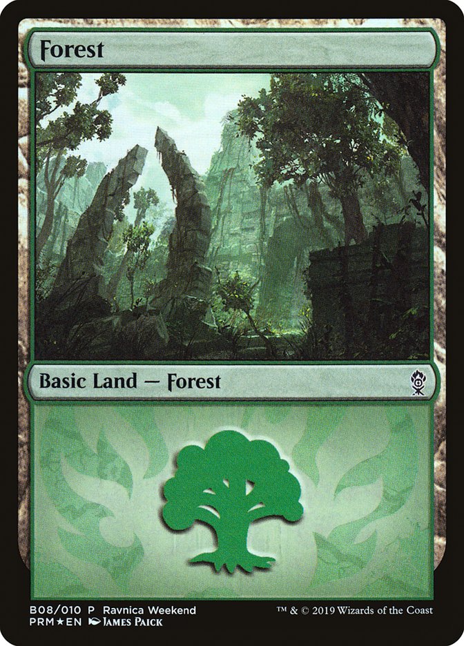 Forest (B08) [Ravnica Allegiance Guild Kit] | The Time Vault CA