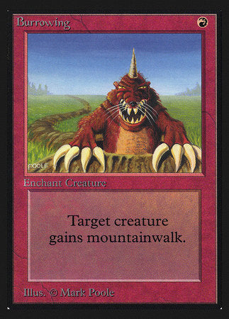 Burrowing (CE) [Collectors’ Edition] | The Time Vault CA