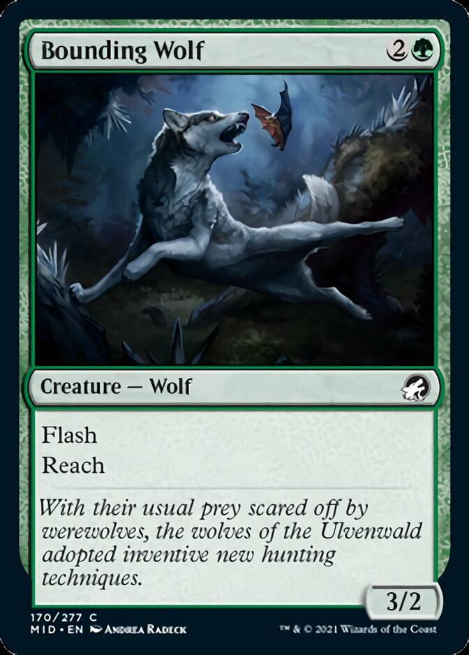 Bounding Wolf [Innistrad: Midnight Hunt] | The Time Vault CA