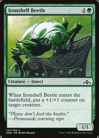 Ironshell Beetle [Guilds of Ravnica] | The Time Vault CA