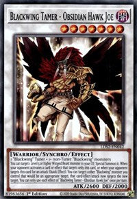 Blackwing Tamer - Obsidian Hawk Joe [LDS2-EN042] Common | The Time Vault CA