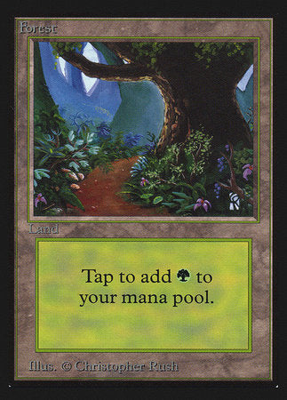 Forest (Path)(IE) [Intl. Collectors’ Edition] | The Time Vault CA