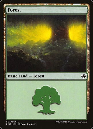 Forest (67) [Game Night] | The Time Vault CA