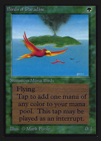 Birds of Paradise (CE) [Collectors’ Edition] | The Time Vault CA