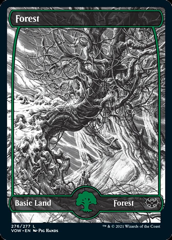 Forest (276) [Innistrad: Crimson Vow] | The Time Vault CA