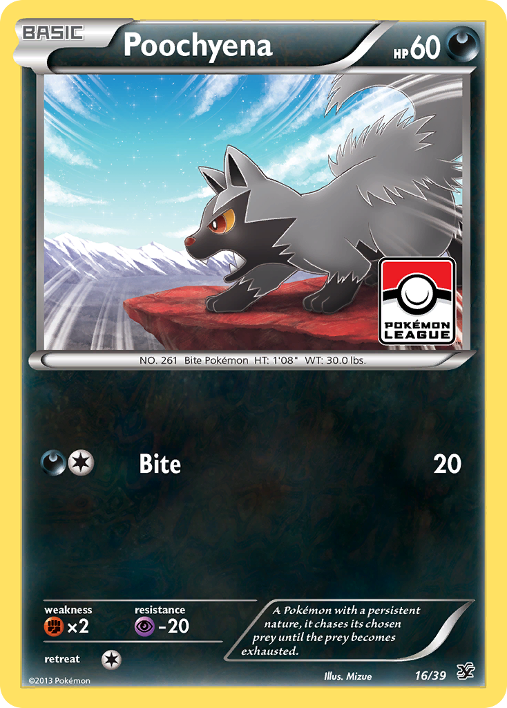 Poochyena (16/39) [XY: Kalos Starter Set] | The Time Vault CA