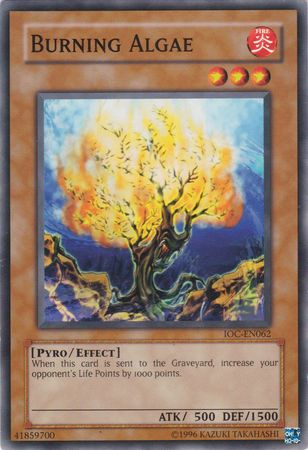 Burning Algae [IOC-EN062] Common | The Time Vault CA